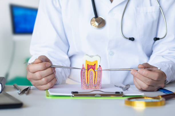 Best Emergency Tooth Extraction in Porter Heights, TX